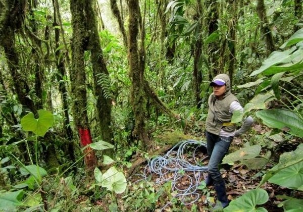 Environmental volunteering in Ecuador